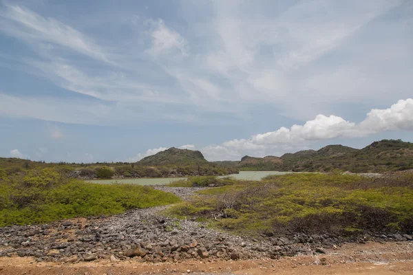 Karaibskiej wyspie Bonaire — Zdjęcie stockowe