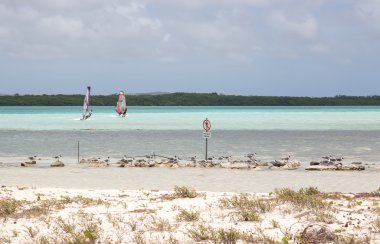 Gölde dinmesini Rüzgar Sörfü