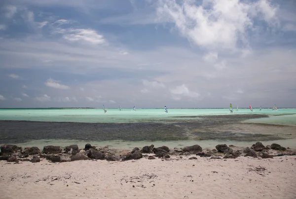 Gölde dinmesini Rüzgar Sörfü