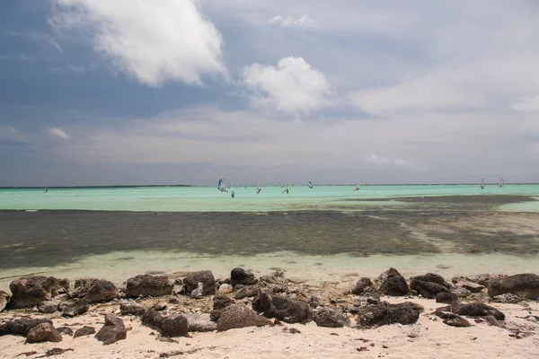 Windsurf en la laguna — Foto de Stock