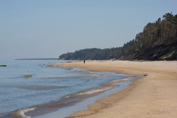 波罗的海海岸沙滩 — 图库照片