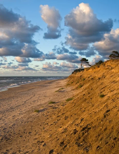 Mar Baltico spiaggia costa sabbia — Foto Stock