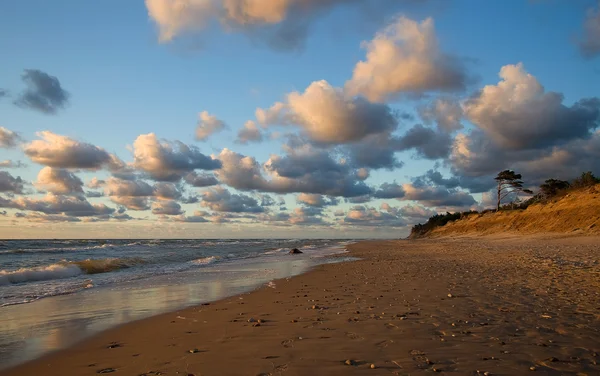 Baltic sea beach coast sand — Stock Photo, Image