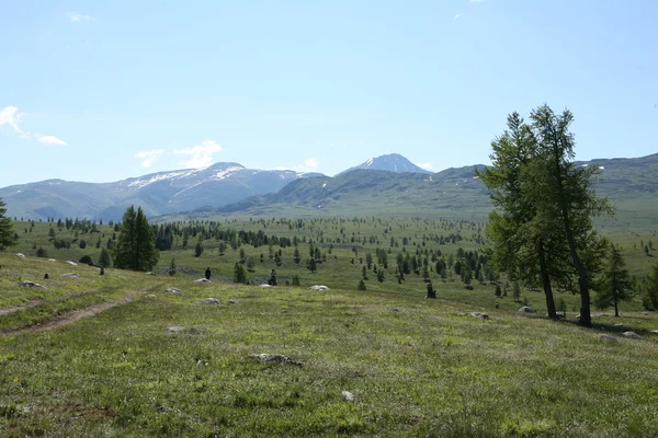 Altai region Ryssland bergslandskap — Stockfoto