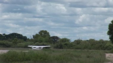 Kenya Botsvana Savannah Afrika hava uçak 