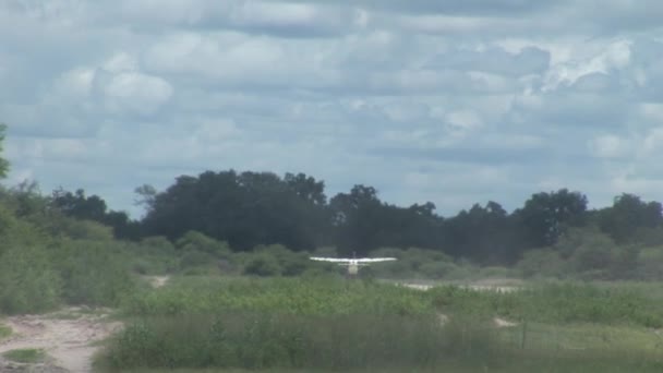 ケニア ボツワナ サバンナ アフリカの飛行機 — ストック動画