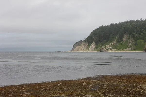 Kunasir Kurils islas Rocas Rusia — Foto de Stock