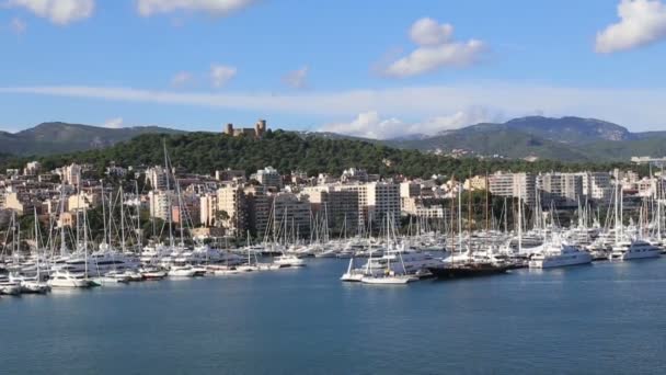 De haven van Palma de Mallorca gefilmd vanuit cruiseschip — Stockvideo