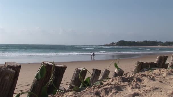Indický oceán pláž pobřeží Mosambiku Jižní Afrika — Stock video