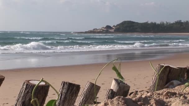 Indische Oceaan strand kust Mozambique Zuid-Afrika — Stockvideo