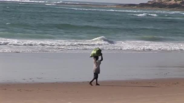 Hint okyanus plaj sahil Mozambik Güney Afrika — Stok video