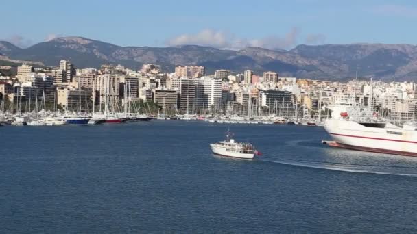 Palma de Mallorca harbor filmade från kryssningsfartyg — Stockvideo