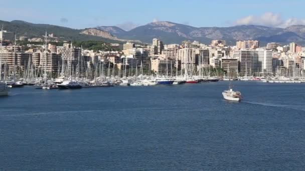 De haven van Palma de Mallorca gefilmd vanuit cruiseschip — Stockvideo