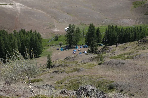 Altaï région Russie paysages de montagne — Photo