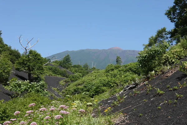 Kunasir Kurils eilanden rotsen Azië Russische Federatie — Stockfoto