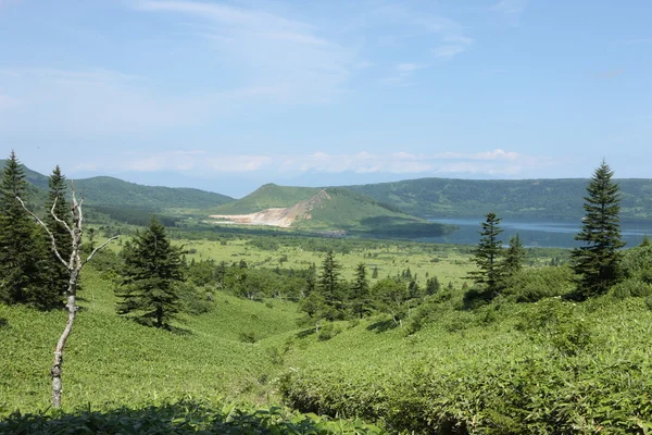 Kayalar Asya Rusya Federasyonu Kunasir Kurils Adaları 