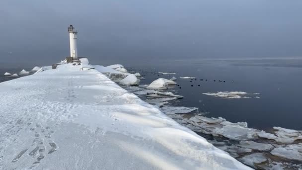 Mar Baltico Spiaggia Costa Invernale Daugavgriva Lettonia — Video Stock