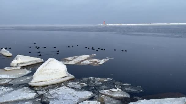Mar Baltico Spiaggia Costa Invernale Daugavgriva Lettonia — Video Stock