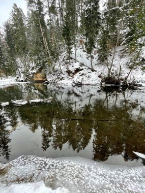 Gauja nehir kıyısı buz tabakası Letonya Vidzeme