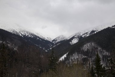 Kar dağı Slovakya kayak kışı Jasna Europa