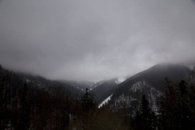 Kar dağı Slovakya kayak kışı Jasna Europa