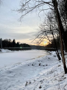 Gauja nehir kıyısı buz tabakası Letonya Vidzeme