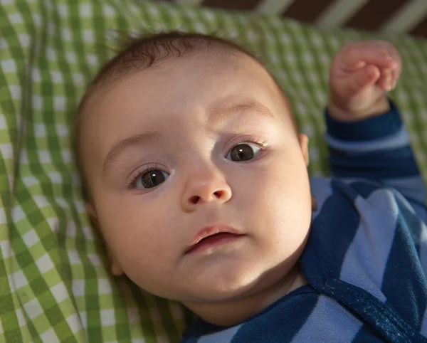 Menino pequeno bonito — Fotografia de Stock