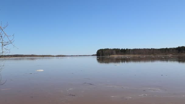 Mouvement de glace rivière de printemps 1080p 