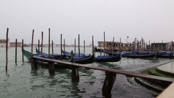 Venedig Italien Frühling Video 1080p — Stockvideo