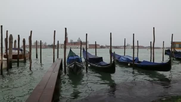 Veneza Itália primavera vídeo 1080p — Vídeo de Stock