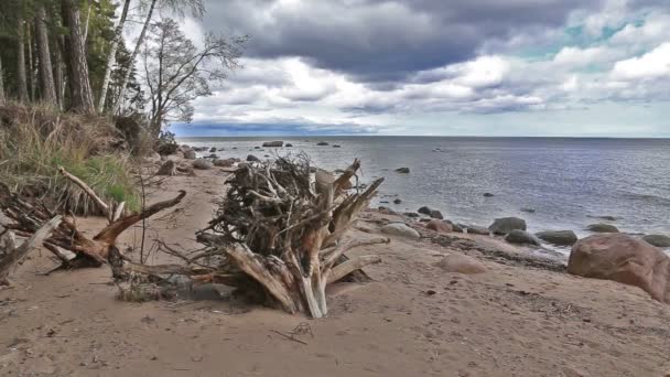 Côte de la mer Baltique plage Kurzeme Roja — Video