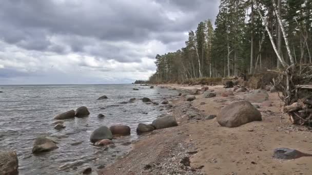 Morza Bałtyckiego wybrzeża plaży Kurzeme Roja — Wideo stockowe