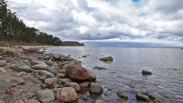 Baltık Denizi sahil plaj Kurzeme Roja — Stok video