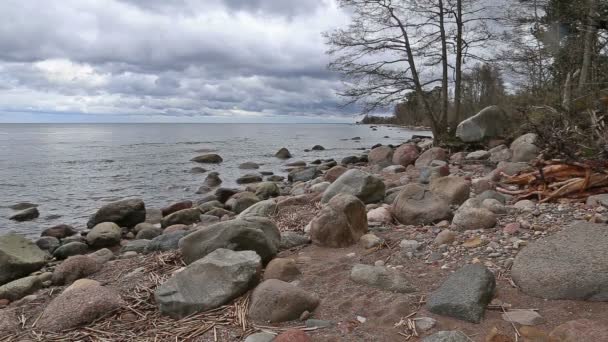 Mar Báltico praia costa Kurzeme Roja — Vídeo de Stock