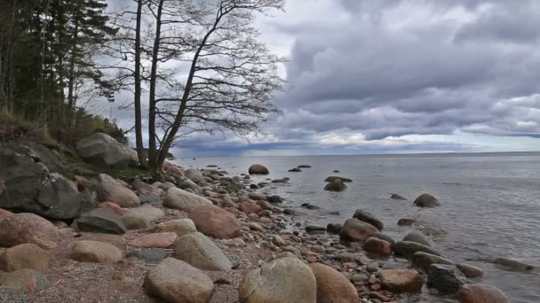 Mar Báltico playa Kurzeme Roja — Vídeo de stock