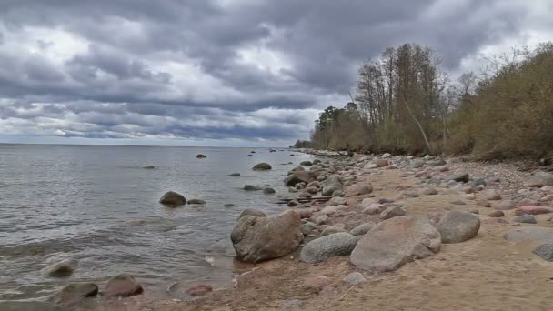 Côte de la mer Baltique plage Kurzeme Roja — Video