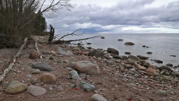 Côte de la mer Baltique plage Kurzeme Roja — Video