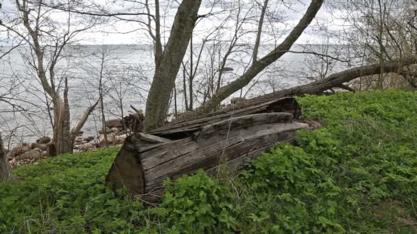 Узбережжя Балтійського моря beach Курземська Roja — стокове відео