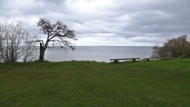 Ostseestrand kurzeme roja — Stockvideo