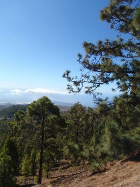 Teide Tenerife Kanarya Adası İspanya