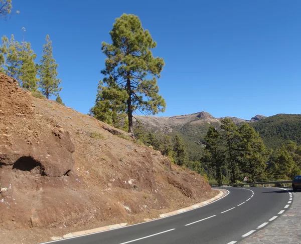 Kanári Teide-Tenerife island, Spanyolország — Stock Fotó