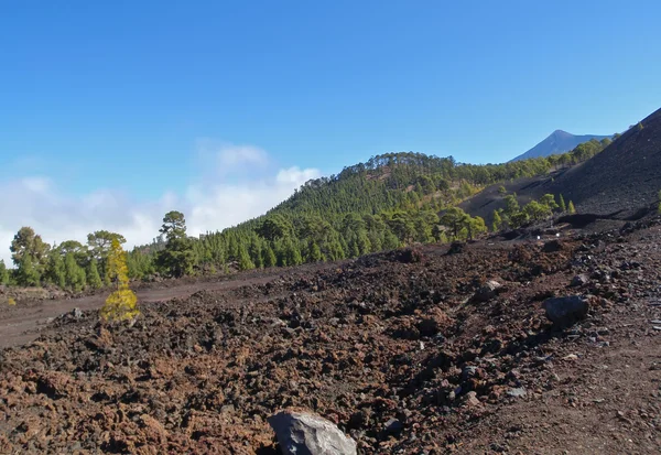 Teide Tenerife Canarian island Spain — Stock Photo, Image