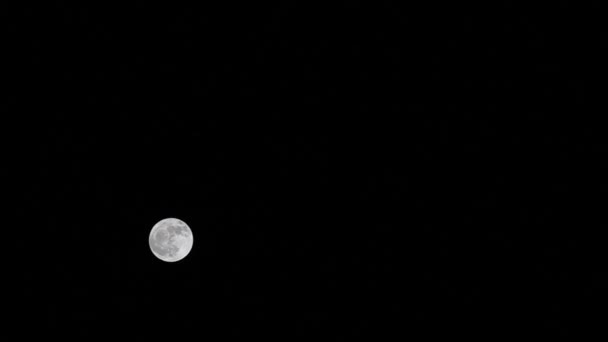 Księżyc w nocy timelapse — Wideo stockowe