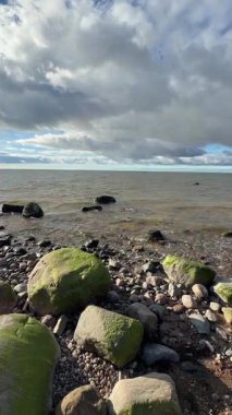 Baltık deniz plajı yaz dalgaları jurmala latvia