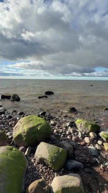 Baltık deniz plajı yaz dalgaları jurmala latvia