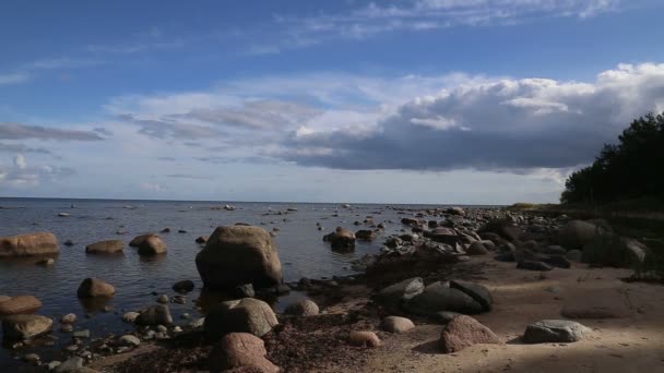 Baltık Denizi sahil plaj Kurzeme Roja — Stok video
