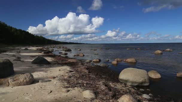 Côte de la mer Baltique plage Kurzeme Roja — Video