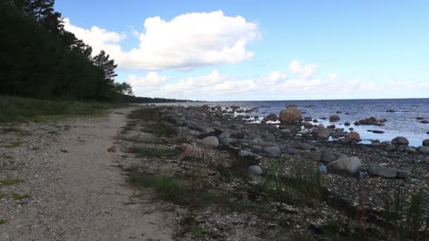 Morza Bałtyckiego wybrzeża plaży Kurzeme Roja — Wideo stockowe