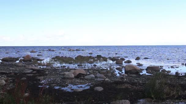 Пляж на побережье Балтийского моря Kurzeme Roja — стоковое видео