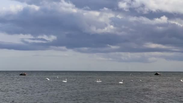 Узбережжя Балтійського моря beach Курземська Roja — стокове відео